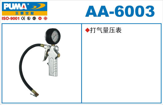 AA6003s